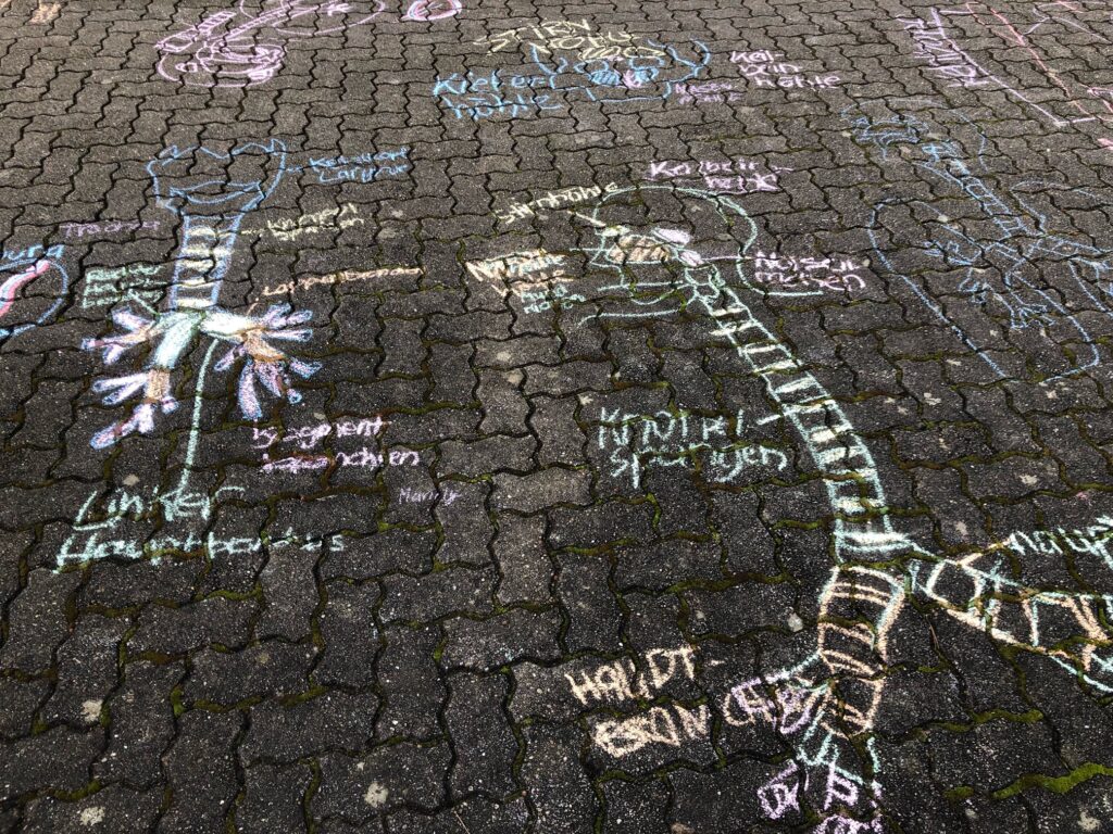 Kreidezeichnung des Atmungstrakts