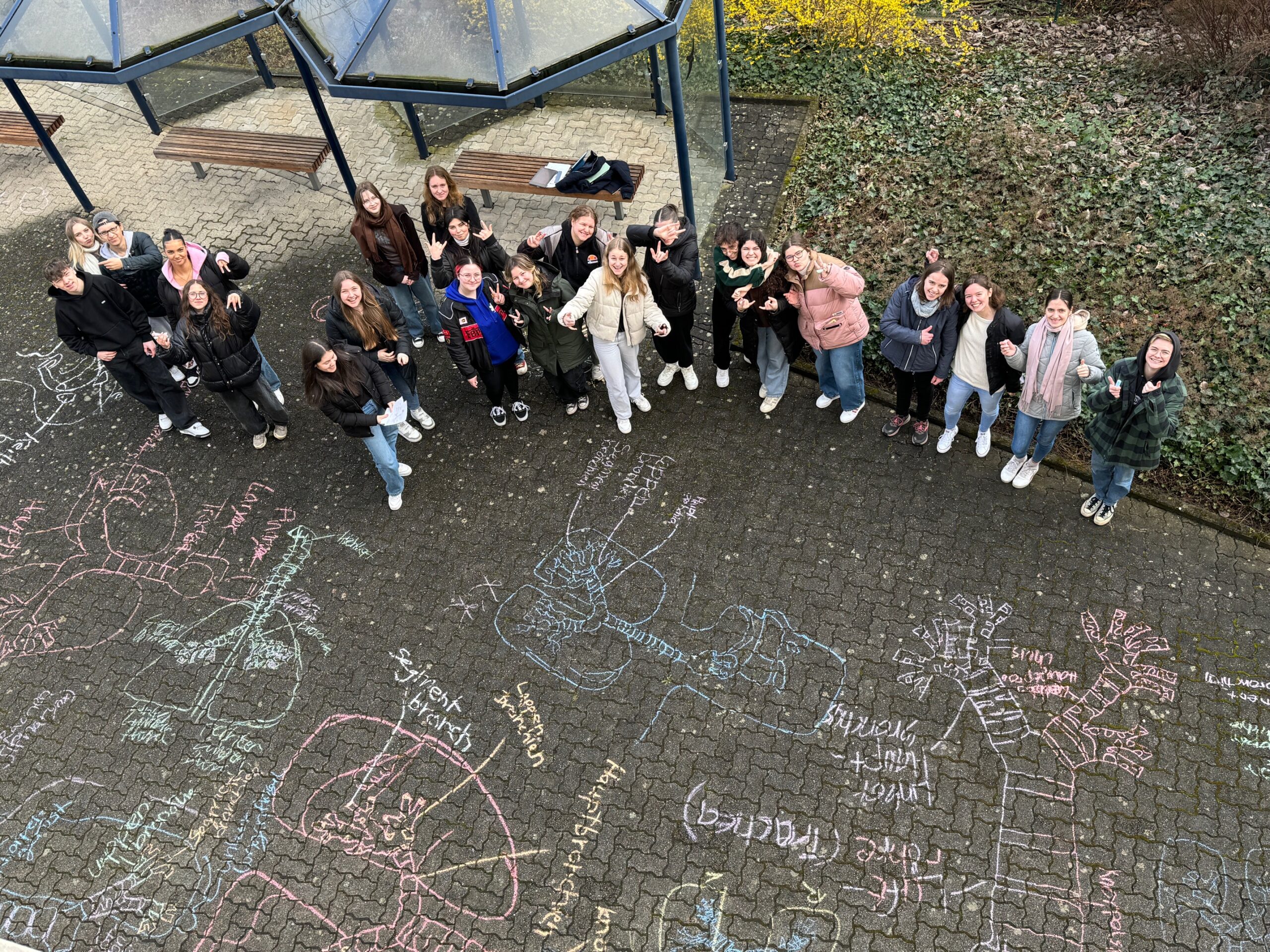 Kreativer Biologieunterricht