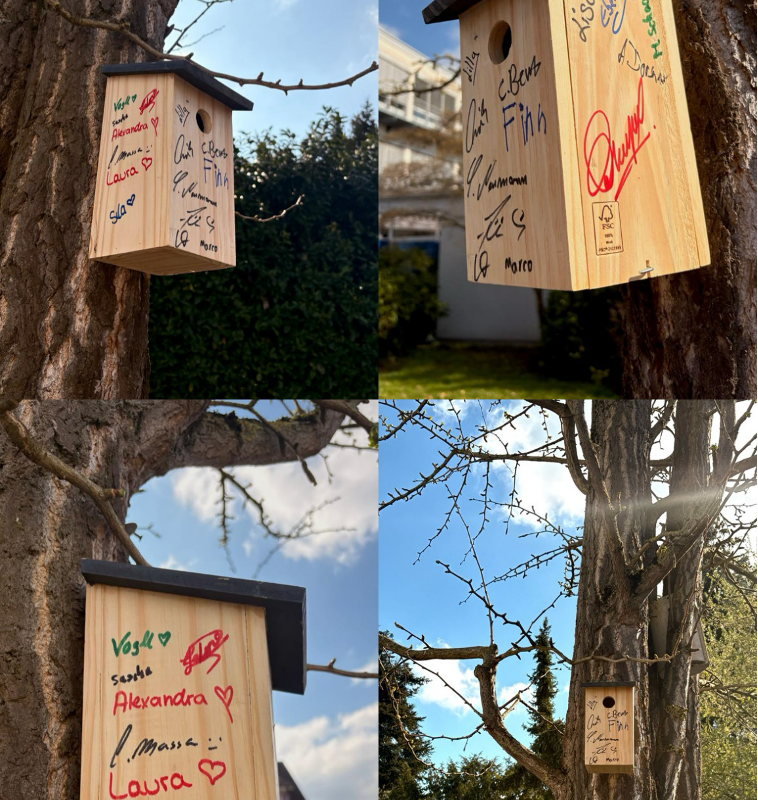 1BK2W2: Praktisches Projekt in Bezug auf soziale Verantwortung